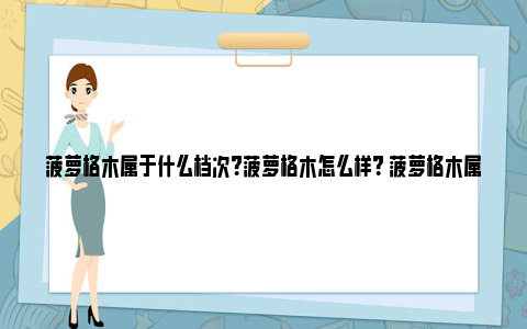 菠萝格木属于什么档次?菠萝格木怎么样? 菠萝格木属于什么档次