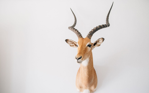 天气太热空调开多少度合适？夏季空调开多少度睡眠比较好？ 天气很热空调调多少