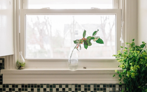 洗衣凝珠是“真实用”还是“智商税”？这6个痛点让其换回洗衣粉