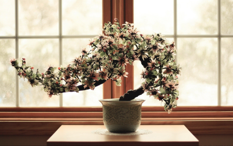 买空调什么时候最便宜？空调价格背后的“隐形推手”，避免买贵的实用策略！