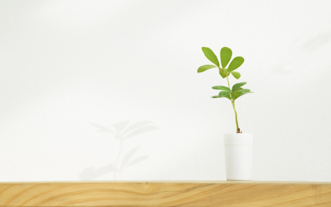 被年轻人的“加湿妙招”惊到了！打开思路后，一分钱都不用花