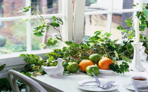 新房去甲醛最有效最科学的方法：对症下药，6种方法实测对比与实用攻略！