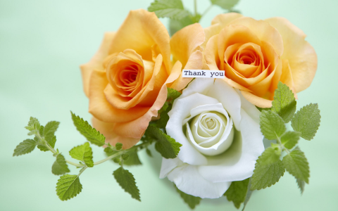 什么叫vr技术？一文读懂虚拟现实技术：沉浸式未来的数字之门！