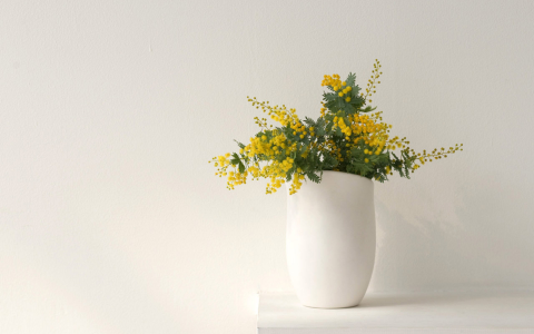 液体生胶带能用在热水管吗？别忽视这几个因素，老师傅手把手教你操作！