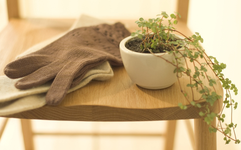 被“忽悠”惨了！亲戚卖掉了刚需自住房，现在悔不当初！