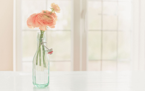 客厅不装电视用什么代替？现在流行这么做，省钱美观还高级！