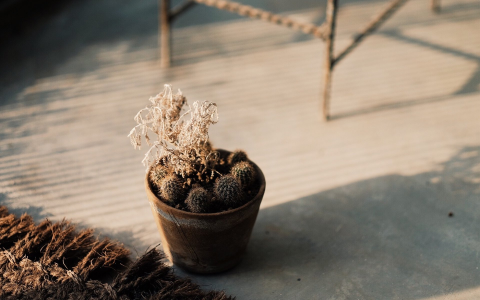 劝你换房的人，是在布下一个巨大的消费陷阱，只等你来跳